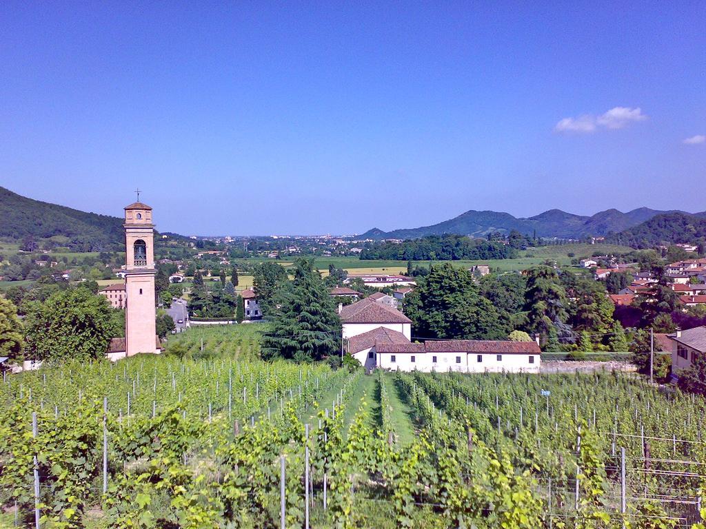 Villa Pollini Torreglia 외부 사진