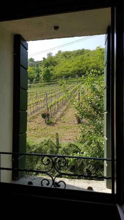 Villa Pollini Torreglia 외부 사진